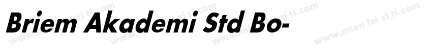 Briem Akademi Std Bo字体转换